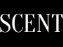 Mariela Centeno Management
